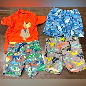 Toddler Boy Swim Lot, Size 3T
